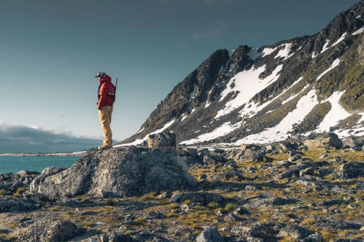 Un randonneur contemplant les montagnes et les fjords du Svalbard